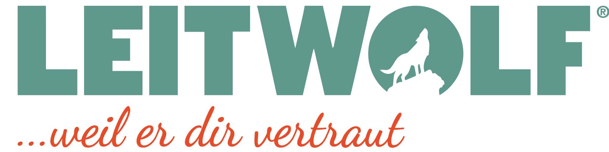 Zur Startseite gehen